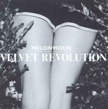 Velvet Revolution