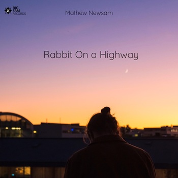 Rabbit On A Highway