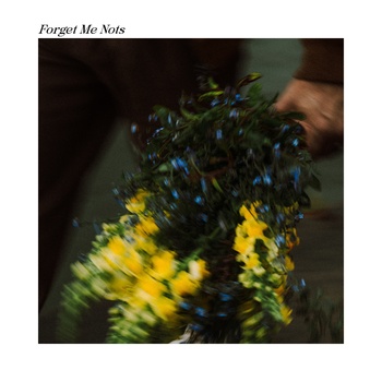 Forget Me Nots