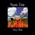 I Don't Want To Wait - Paula Cole